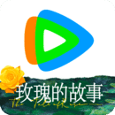魔女的一家之言 小说